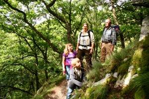 Mehr als 4.000 Wanderer haben den Wildnis-Trail seit seiner Einführung 2007 gebucht. Die 85 Kilometer lange Strecke führt einmal von Süd nach Nord durch den Nationalpark Eifel und die Vielfalt seiner Landschaftstypen. Foto: Nationalparkverwaltung Eifel/L. Voigtländer