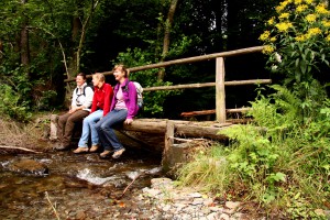 Der Wildnis-Trail ist bei der Rureifel-Tourismus auch als Bildungsurlaub buchbar. Foto: Nationalparkverwaltung Eifel/ U. Giesen