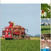 Jahresbericht 2017 der Landwirtschaftskammer Nordrhein-Westfalen im Internet