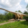Ein Rekordgigant der Urzeit im Dinosaurierpark Teufelsschlucht  – das lebensgroße Modell des Seismosaurus steht bis November in der Südeifel