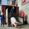 Regionalmarke EIFEL Schwein: Aus Verantwortung zum Tier und zur Region